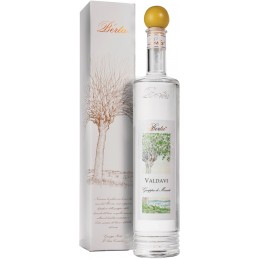 Grappa Giovane Berta...