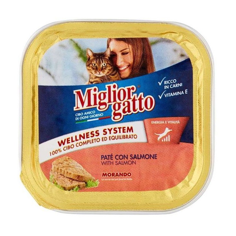 Miglior Gatto Morando Patè con salmone 100 g vaschetta