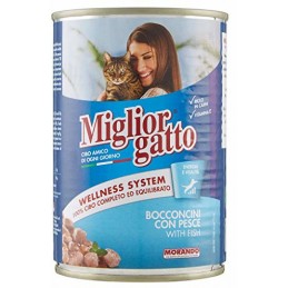 Scatolette gatto Miglior...