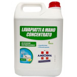 Lavapiatti a mano Amuchina...