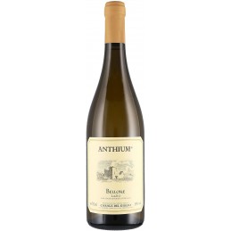 Vino bianco Anthium Casale...