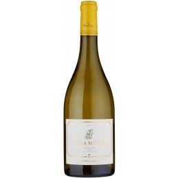 Vino bianco Bramito della...