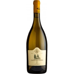 Vino bianco Conte della...