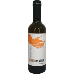 Vino bianco Pecorino Tollo...