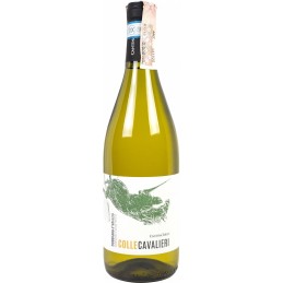 Vino bianco Trebbiano...