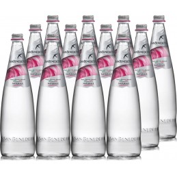 Acqua San Benedetto 1 L x...