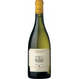 Vino bianco Cervaro della...
