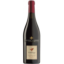 Lambrusco Codarossa Canali...