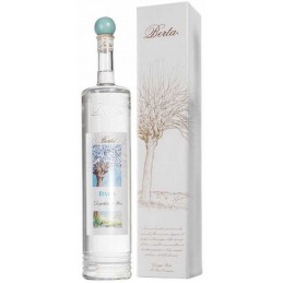 Grappa Giovane Berta Bimba...