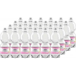 Acqua Capannelle 50 cl x 24...