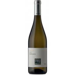 Vino bianco Sauvignon...
