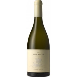 Vino bianco Barcaccia...