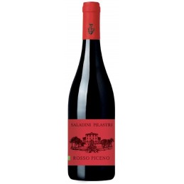 Vino rosso Piceno Saladini...