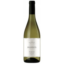 Vino bianco Traminer...