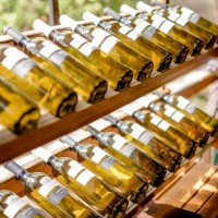 Venditori vino online