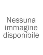 Ansonica/Inzolia/Insolia