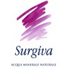 Surgiva