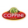 Coppini