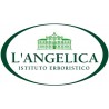 L'ANGELICA