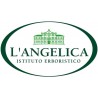 L'ANGELICA