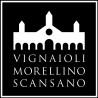 VIGNAIOLI MORELLINO SCANSANO