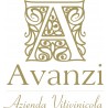 Avanzi