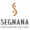 Segnana