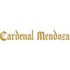 Cardenal Mendoza