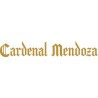 Cardenal Mendoza