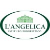 L'Angelica